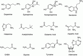 Some of the common Small Molecule Neurotransmitters.