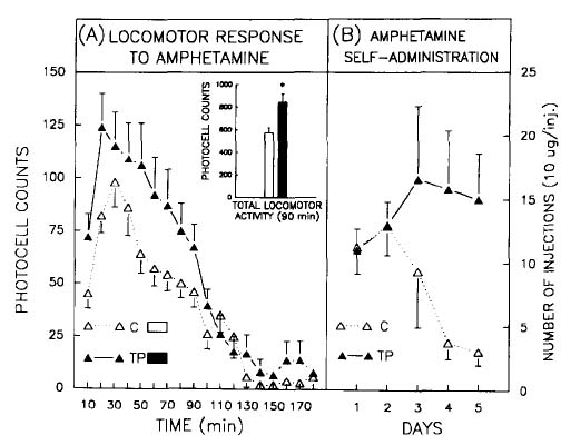 Figure 2: Impact of stress on the behavioral effects of amphetamine. Locomotor activity (left panel) and self-administration (right panel).